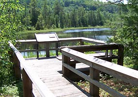 Sand Point Marsh Trail