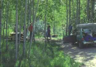 Gemini Lake Campground