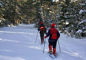 Snowshoeing