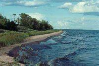 Portage Marsh