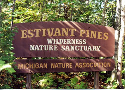 Estivant Pines Nature Sanctuary
