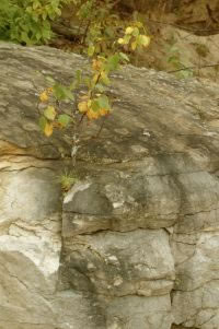 Rock Crack, Photo by Dave Curl Hair.